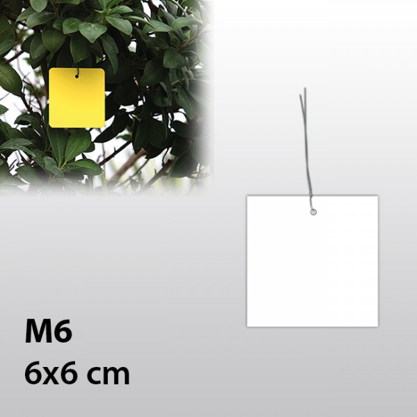 M6-Hängeetiketten mit Draht 6x6 cm