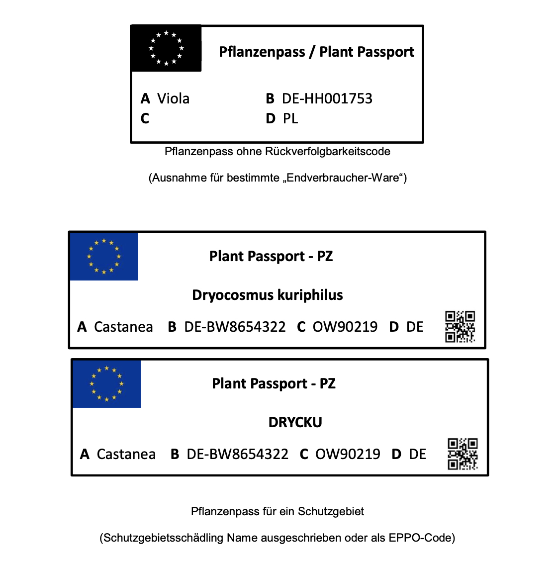 Pflanzenpass-f-r-ein-Schutzgebietdo2SX1TGPqWDe