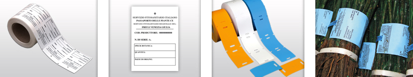 Rollenetiketten-f-r-Thermotransferdrucker